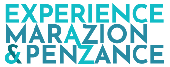 EXPERIENCE Project Survey